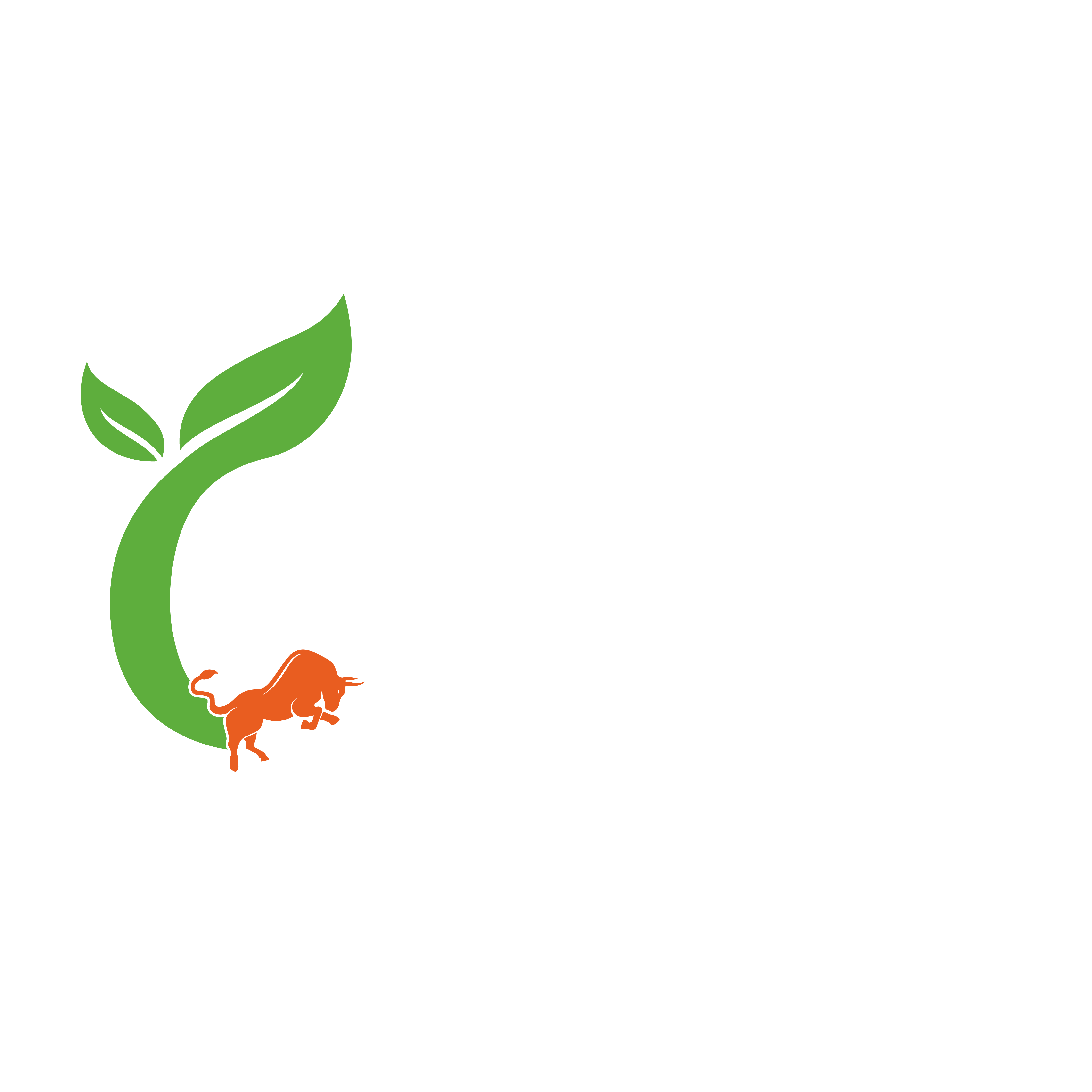 Öznur Gıda
